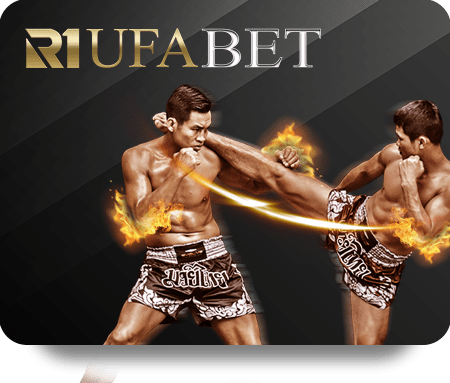 Live Dealer Hot Trends on Oxbet for 2024